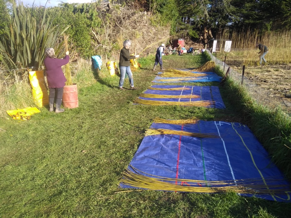 Sorting onto tarps